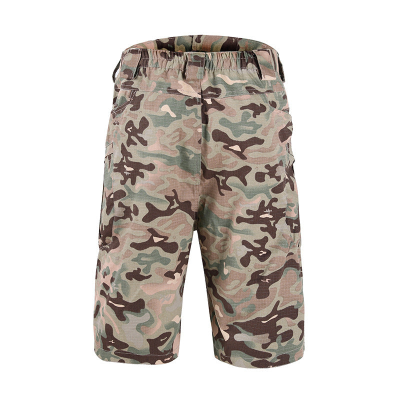 Outdoor Sports Workwear Set with Casual Shorts for Leisure Activities
